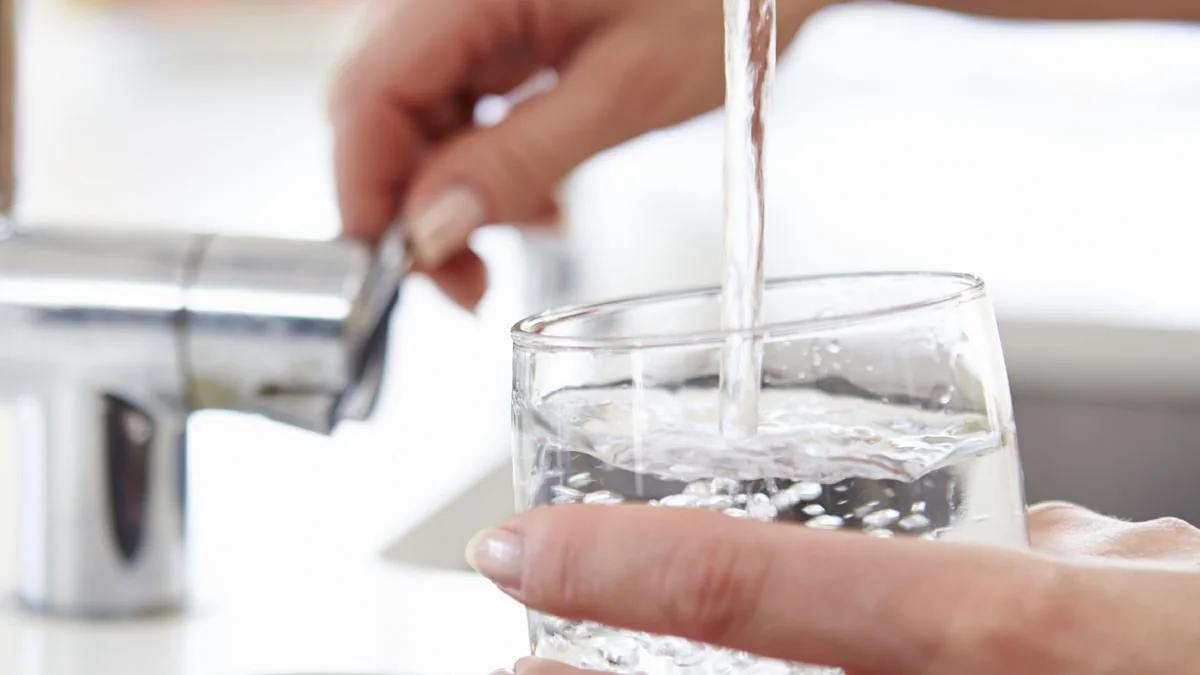 ¿Cómo influye el agua al cocinar?