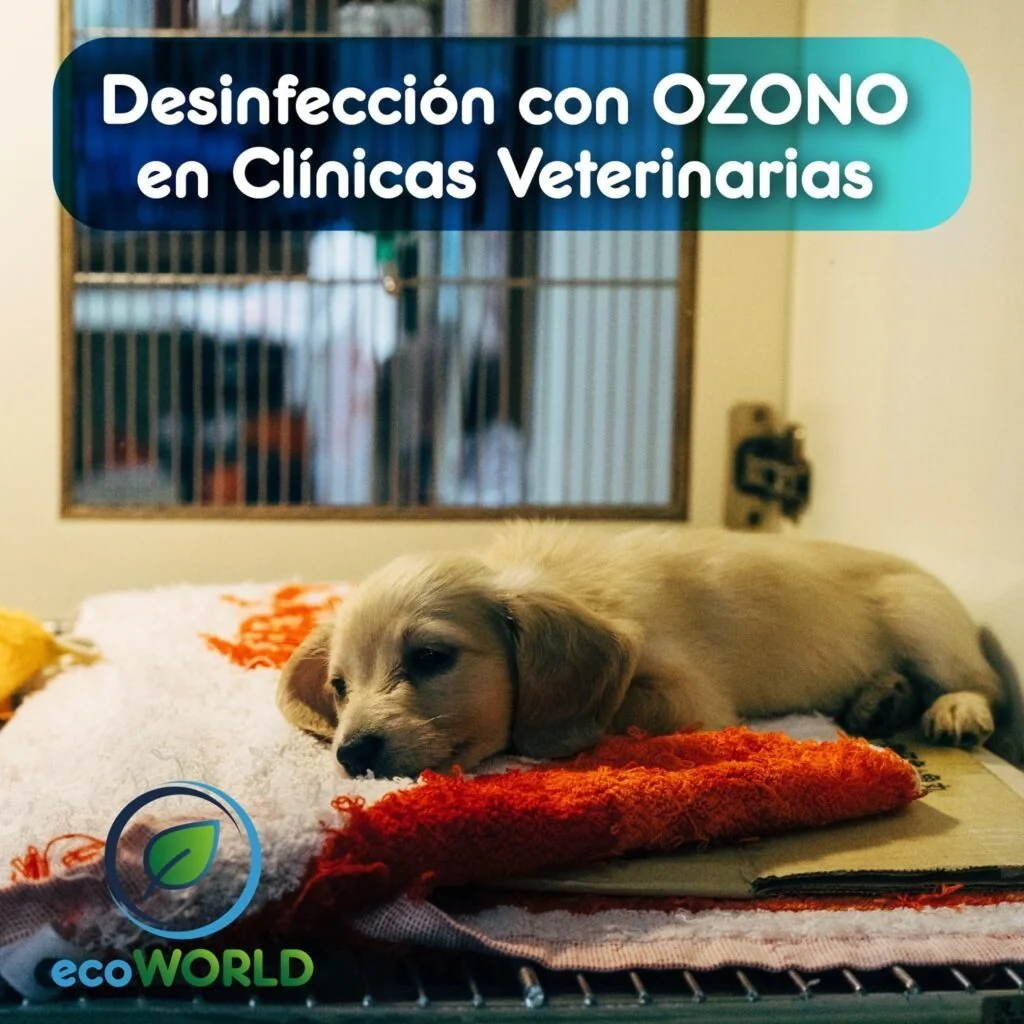 Clinicas Veterinarias 1024x1024