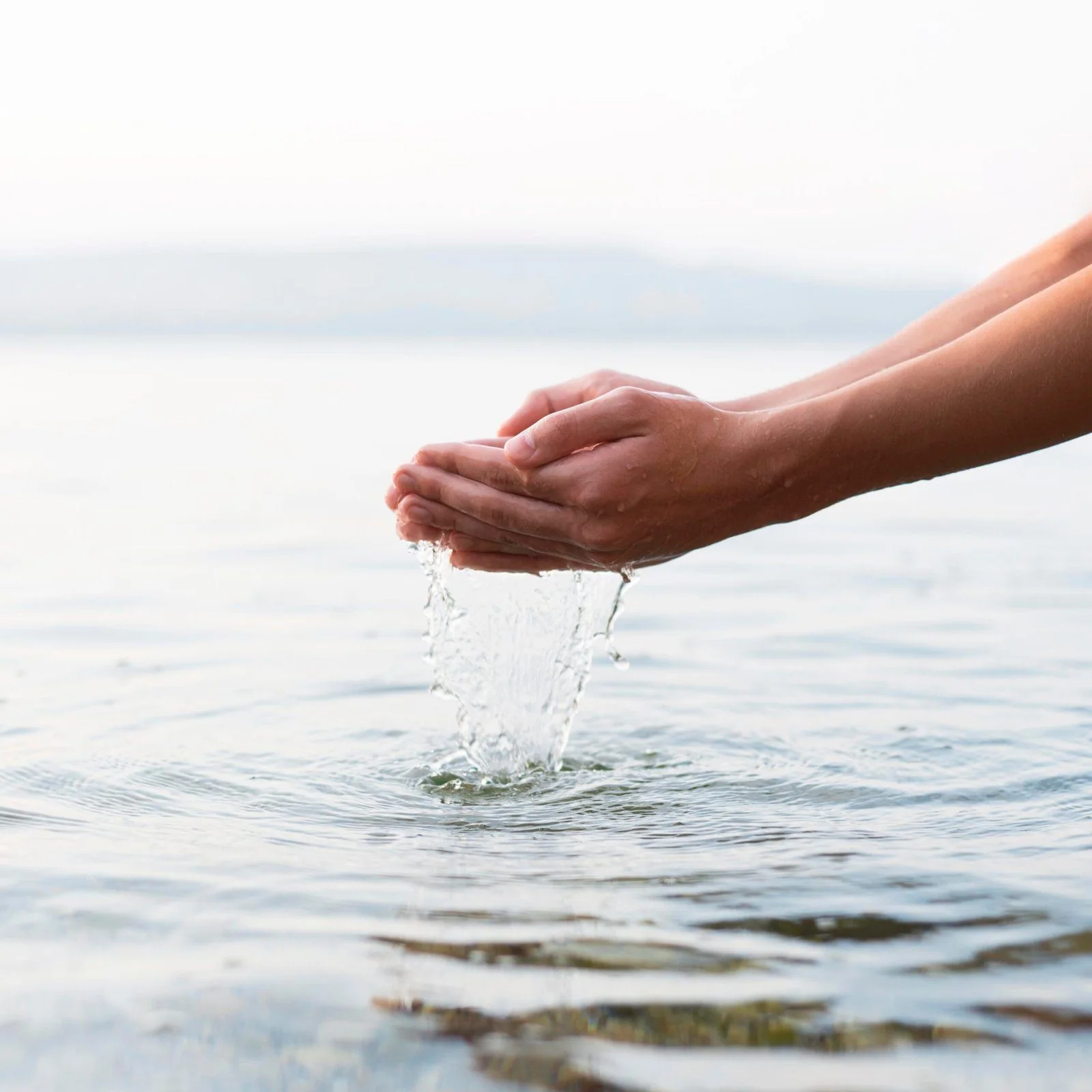 Funciones del agua en nuestro cuerpo