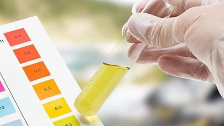 ¿Qué es el pH del agua y cómo influye en su calidad?