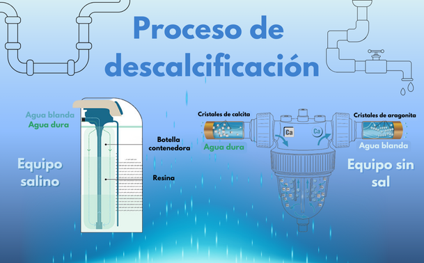 génesis proceso de descalcificación